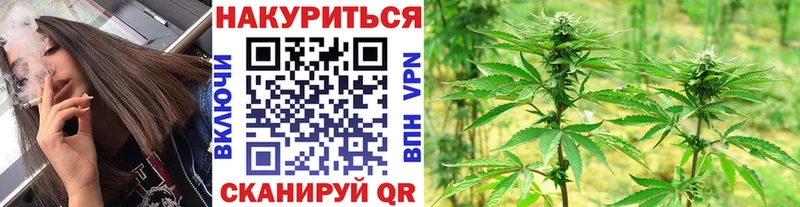 Виды наркотиков купить Ворсма Бошки Шишки  Alpha-PVP  ГЕРОИН  Мефедрон  Амфетамин 
