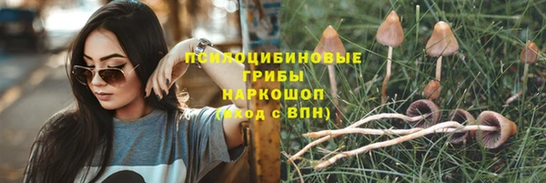 Альфа ПВП Белоозёрский