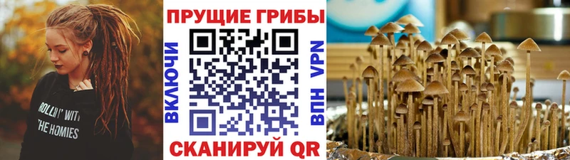 Псилоцибиновые грибы Psilocybe  продажа наркотиков  Ворсма 
